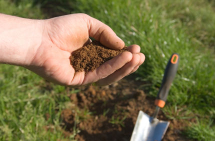 Soil Nutrients