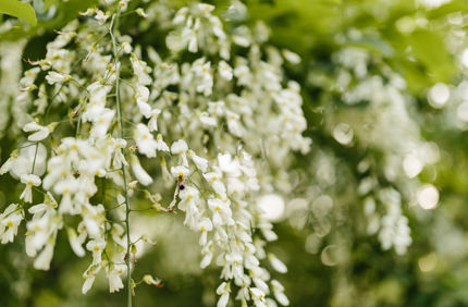 Adobestock 801483892
