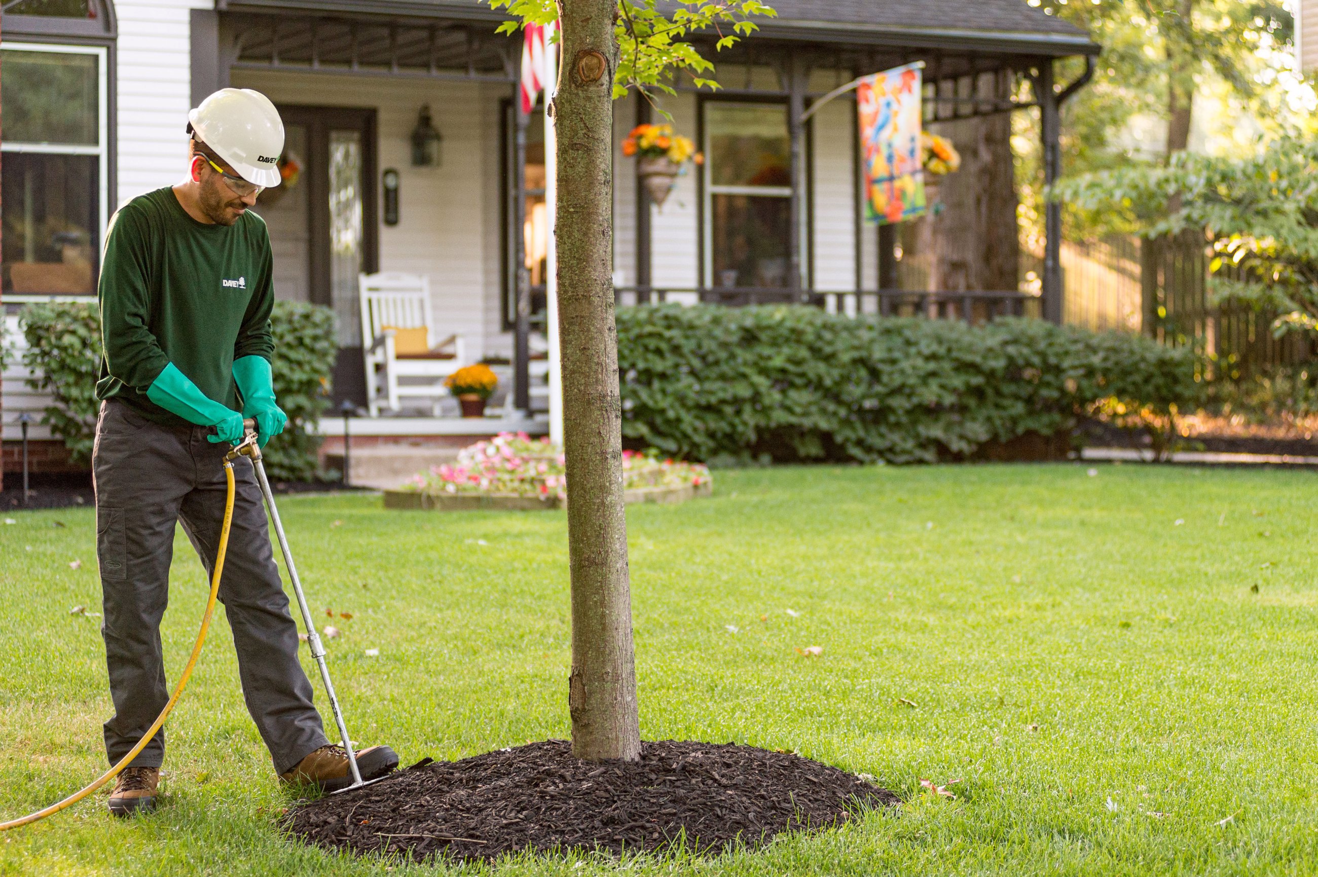 Tree And Shrub Fertilization