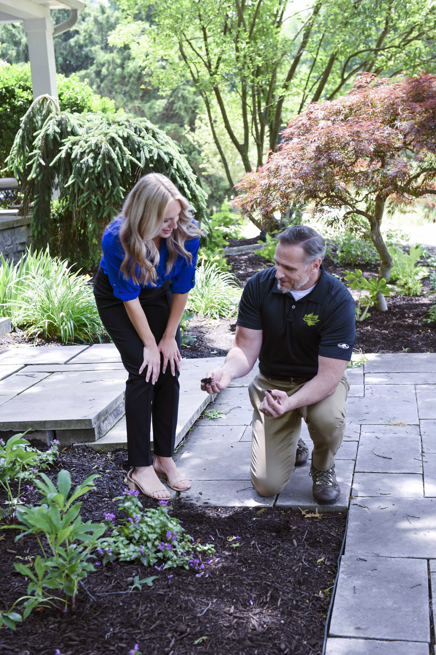 Certified Arborists near Boston 