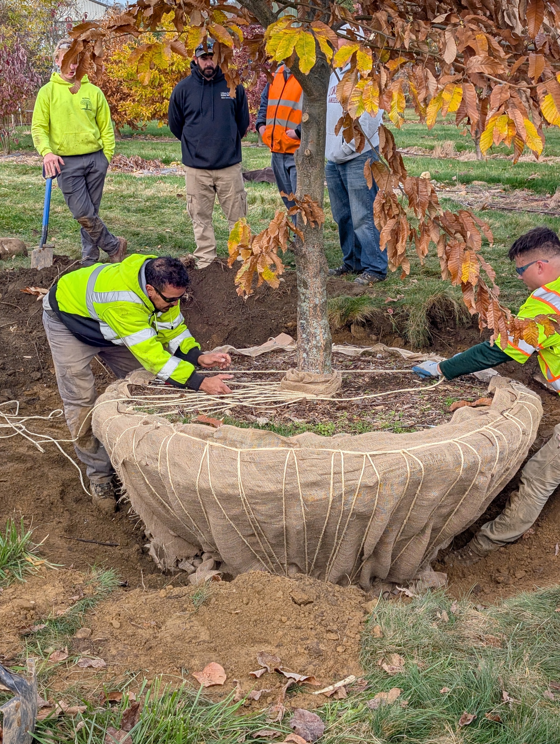 PXL 20251103 144456195