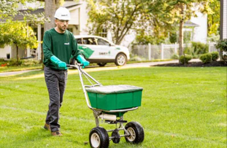 Lawn Fertilization
