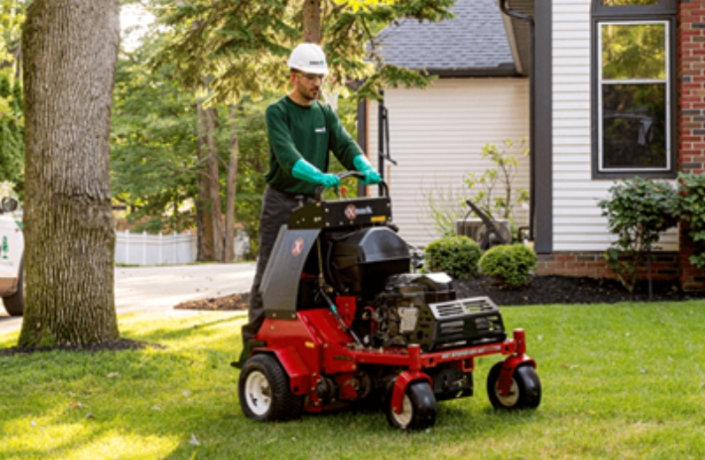 Lawn Aeration Overseeding