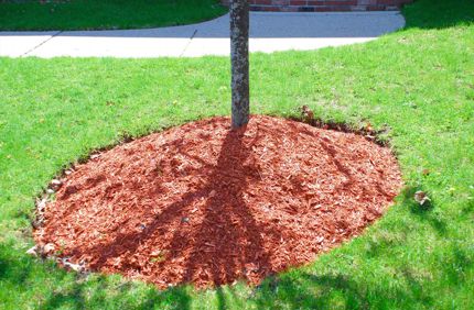 Mulch Volcano