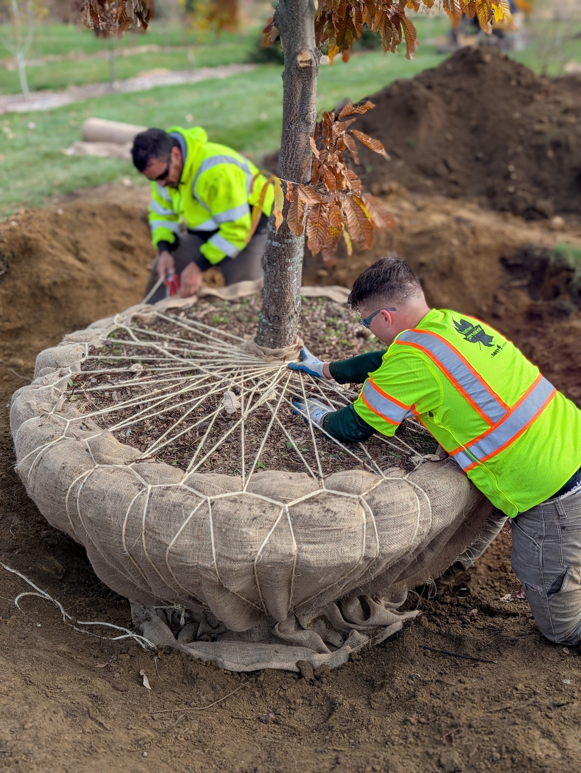 PXL 20251103 145031036.PORTRAIT