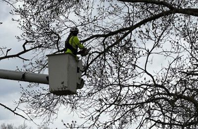 Vassey Park Volunteer Day BNS Office