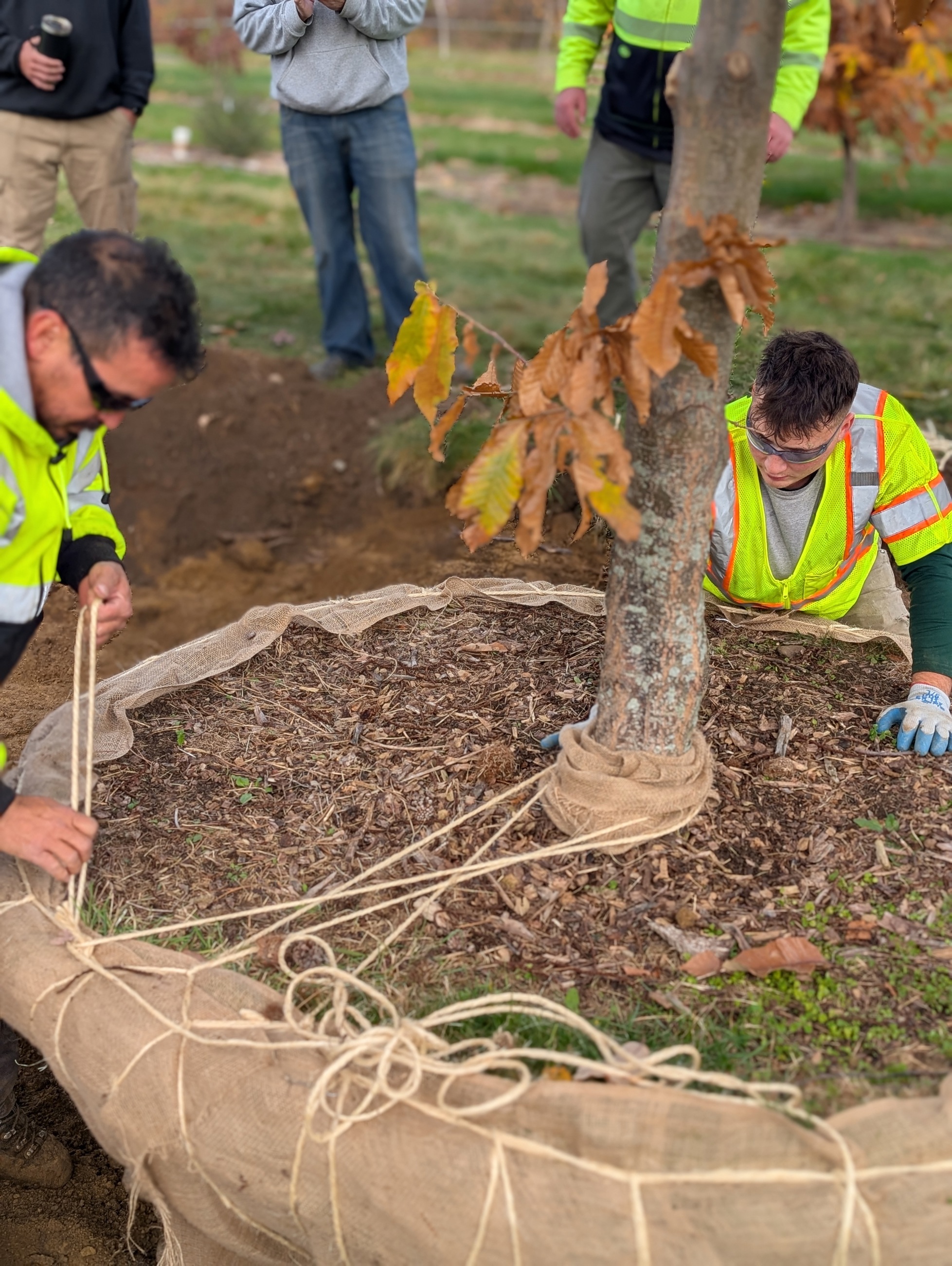 PXL 20251103 144223837.PORTRAIT