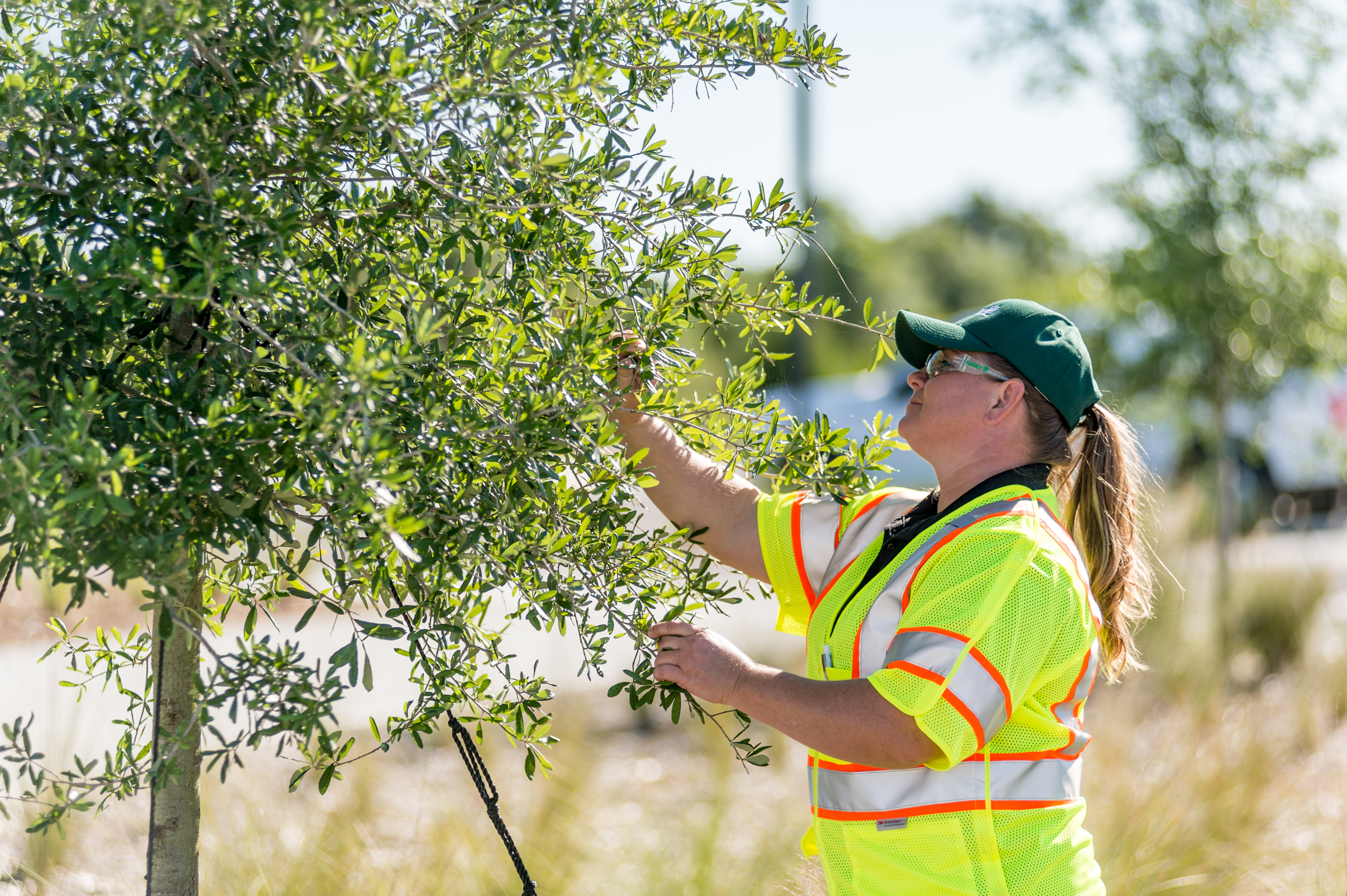 Commercial Property Assessment