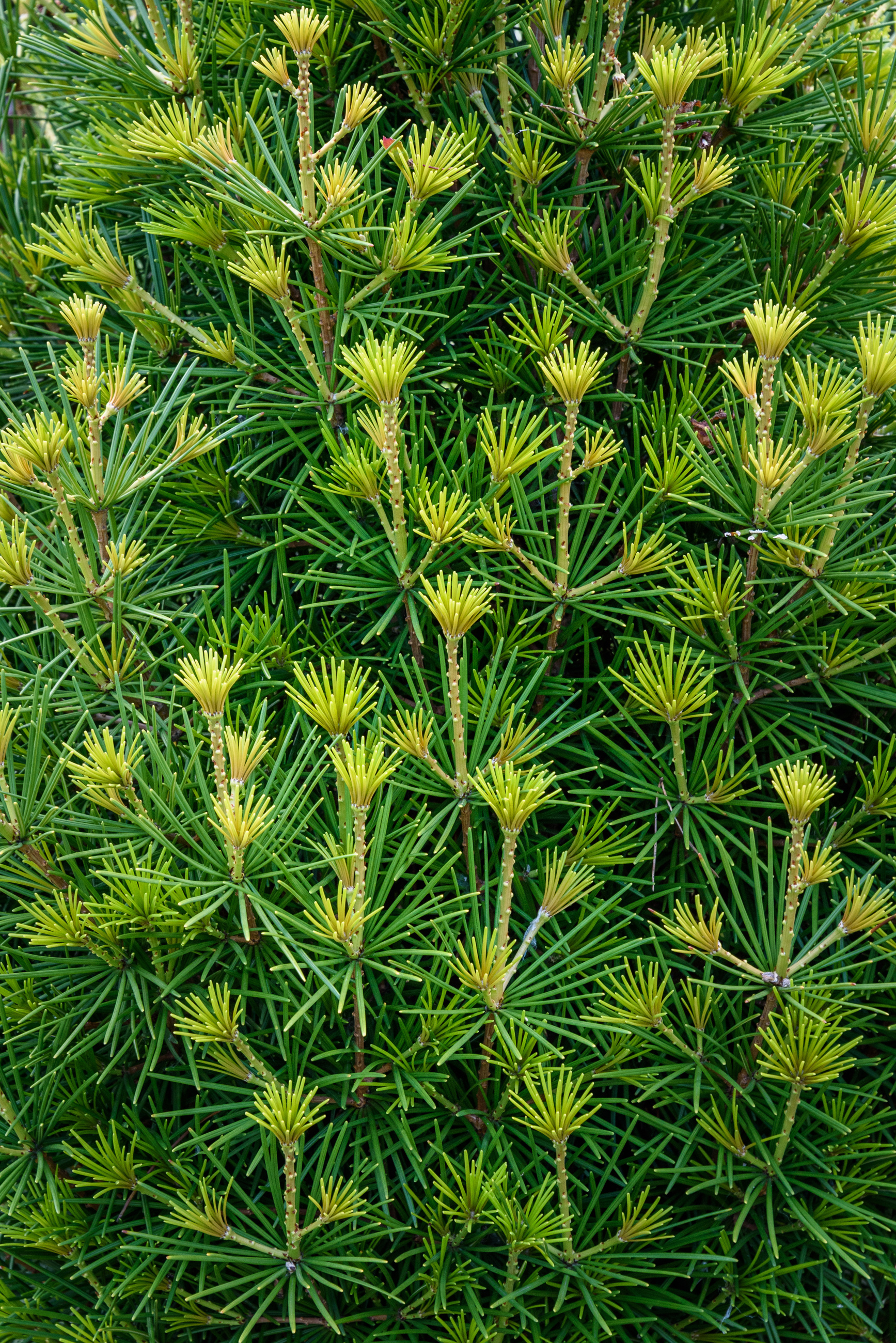 Adobestock 370266762 (1)