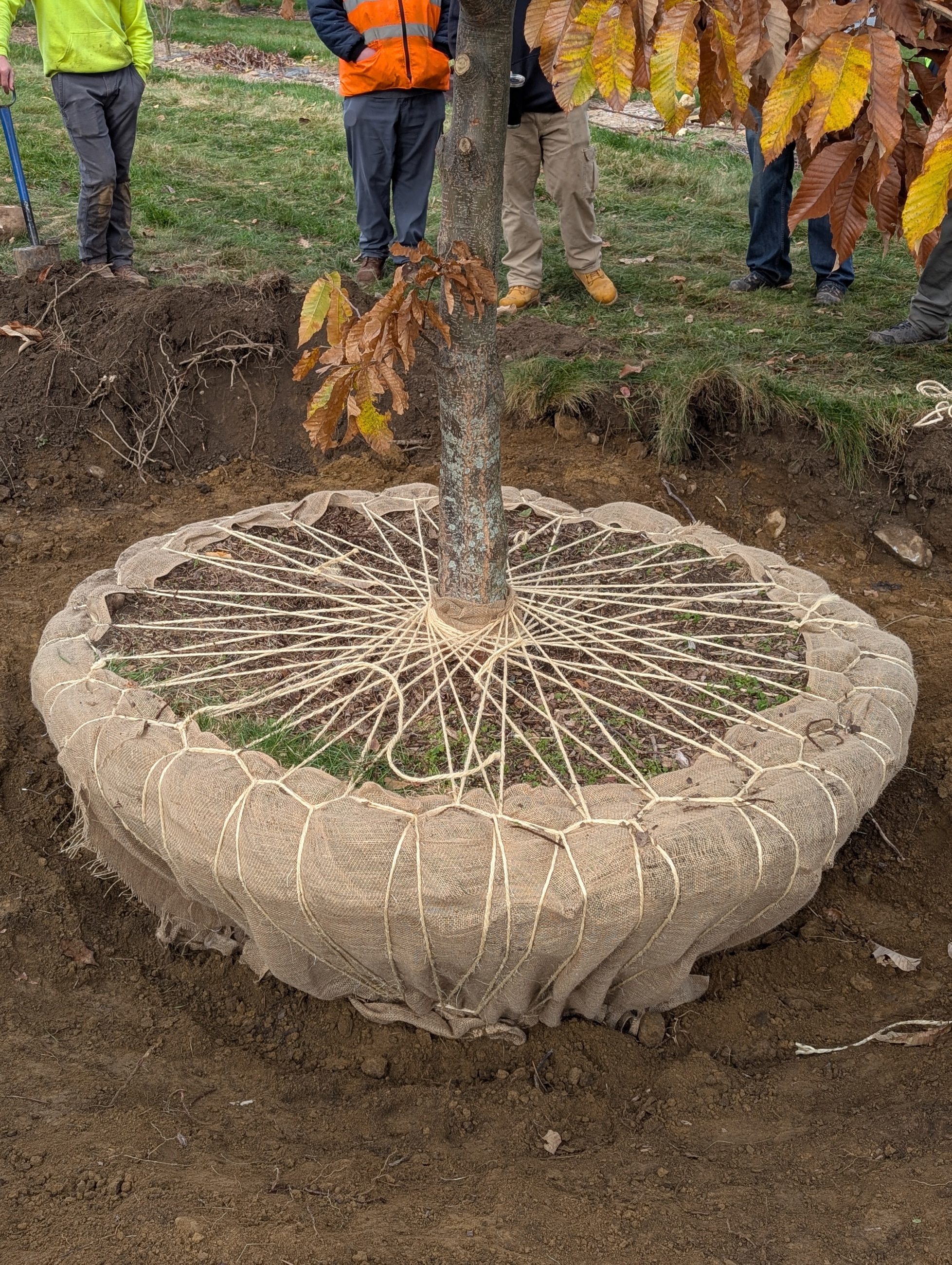 PXL 20251103 145900016