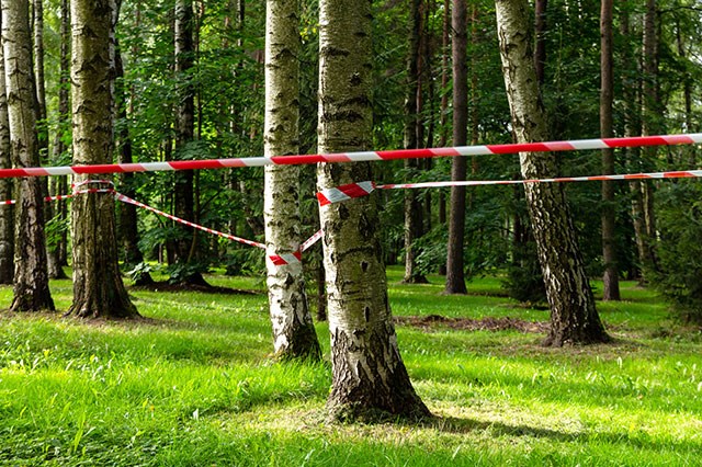 How To Calculate Tree Protection Zone