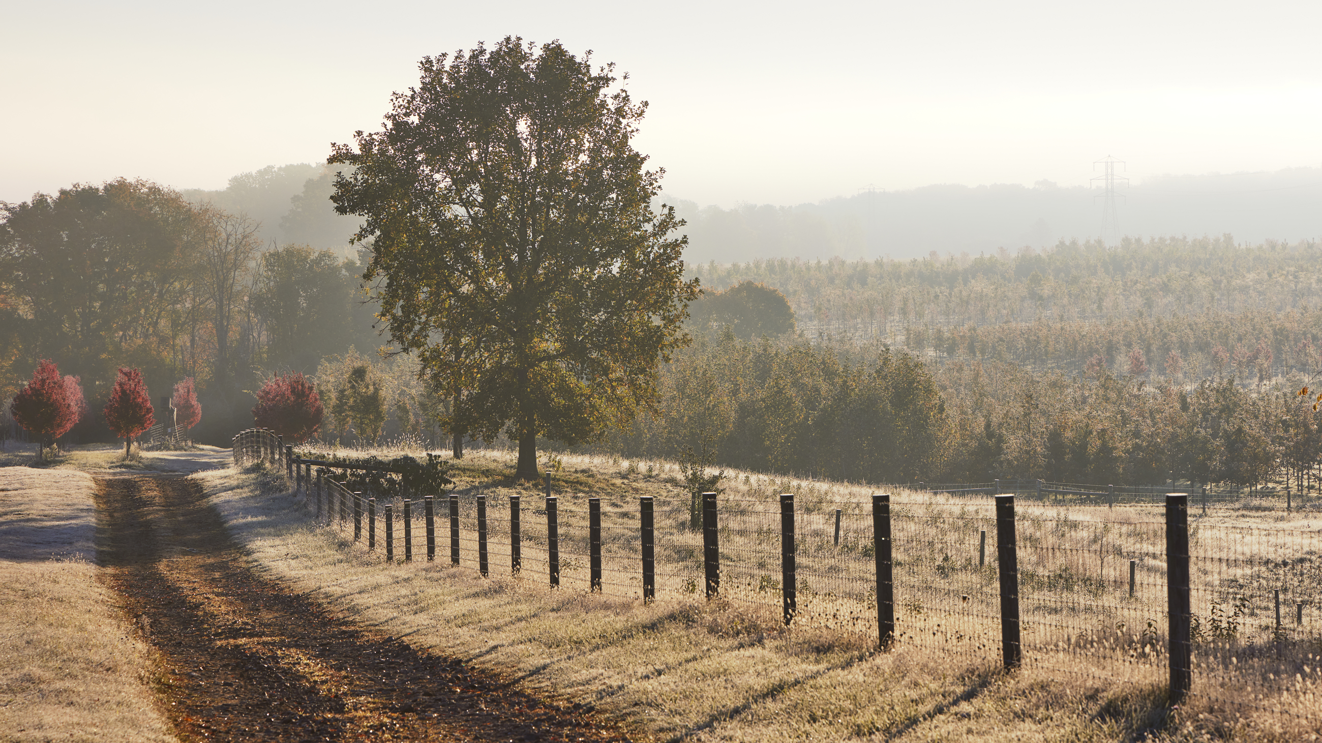 028A0661 7046X3963 8F32868