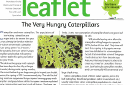 Leaflet Spring 2016