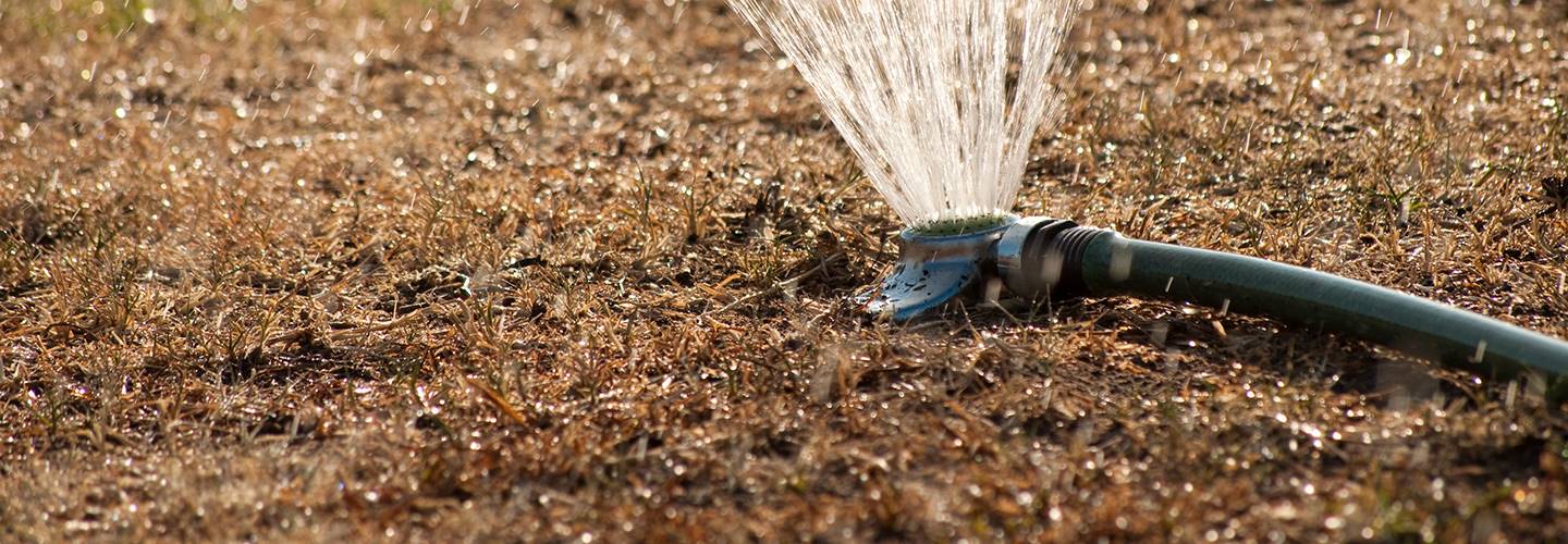 Drought Watering Banner Stock