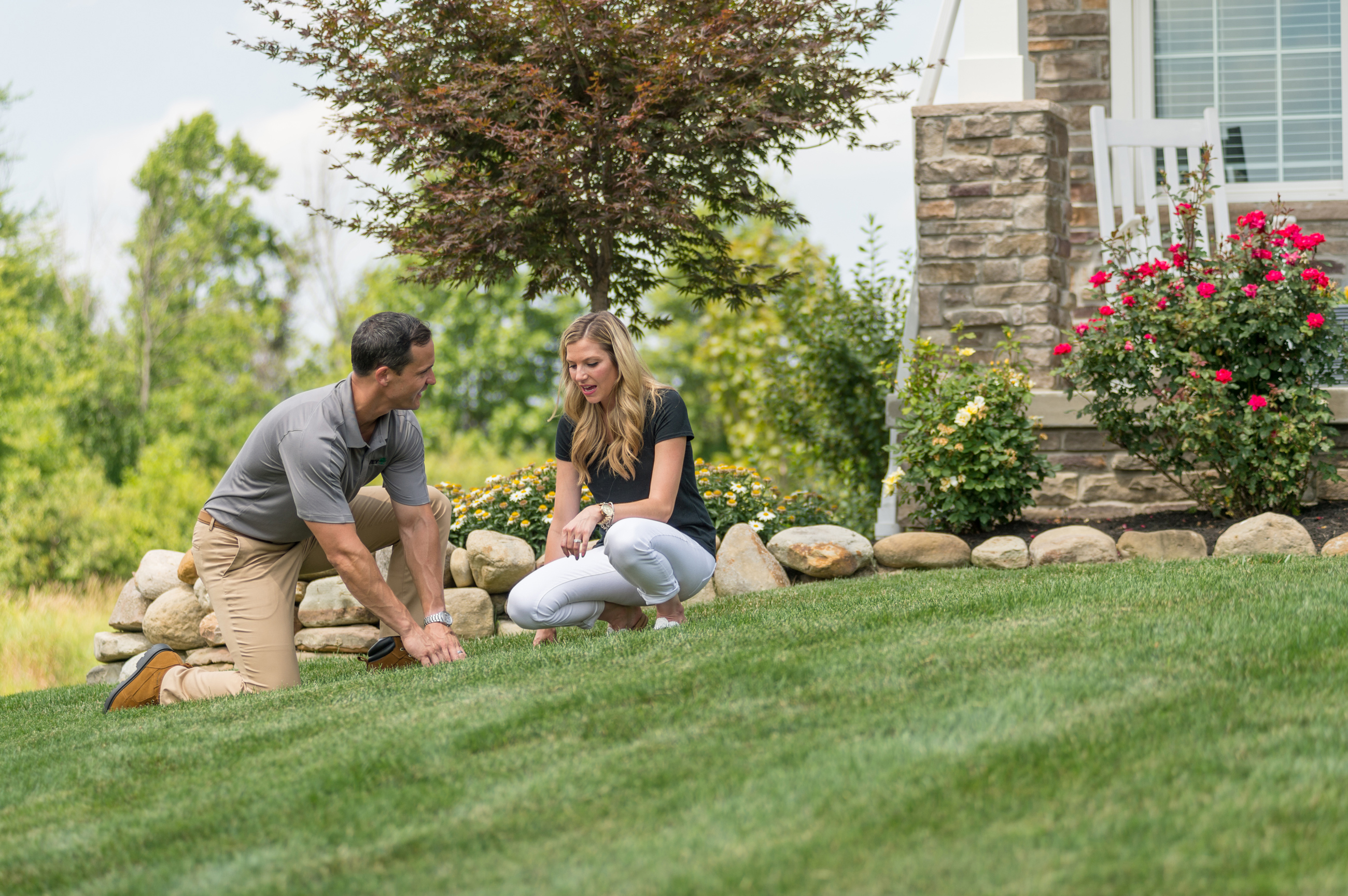 Lawn Care Inspection