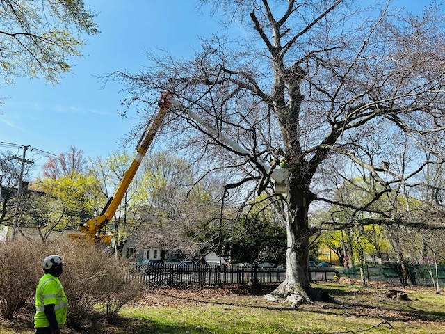 Pickering House Volunteer BNS Office
