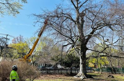 Pickering House Volunteer BNS Office