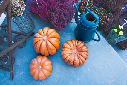 Watering Can Stop Watering Garden Flowers Tres In Fall Davey Tree