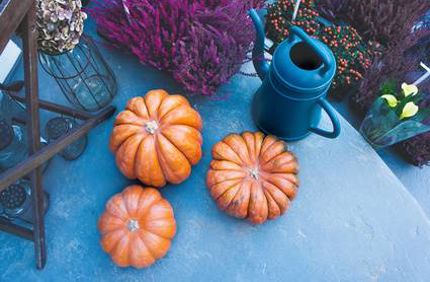 Watering Can Stop Watering Garden Flowers Tres In Fall Davey Tree