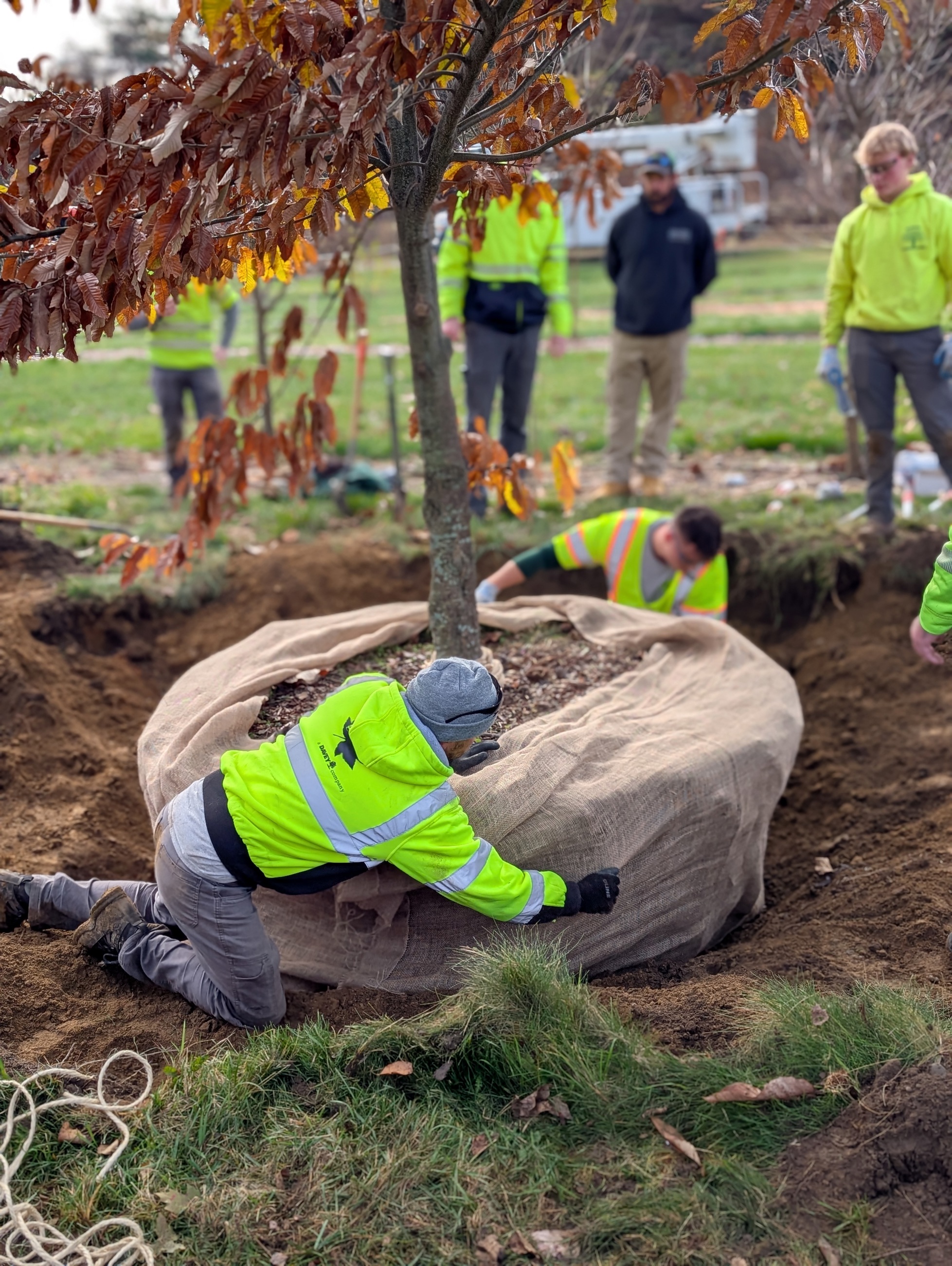 PXL 20251103 142046200.PORTRAIT